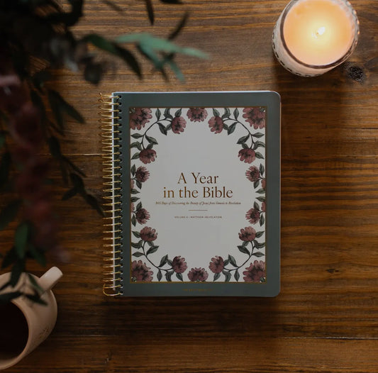 A Year in the Bible